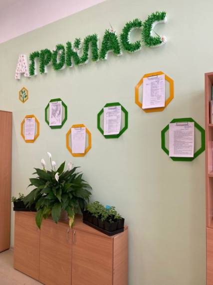Агроклассы в школе.